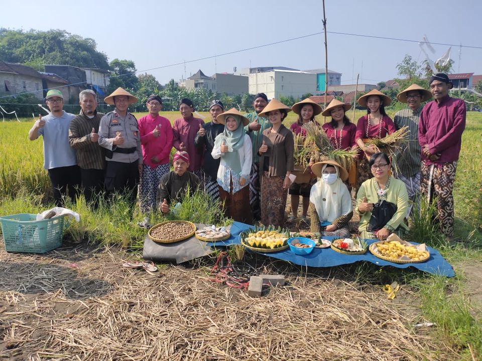 Kelurahan Wirogunan Lestarikan Tradisi Ritual Wiwitan Sebelum Panen Padi